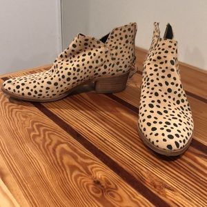Dolce Vita booties